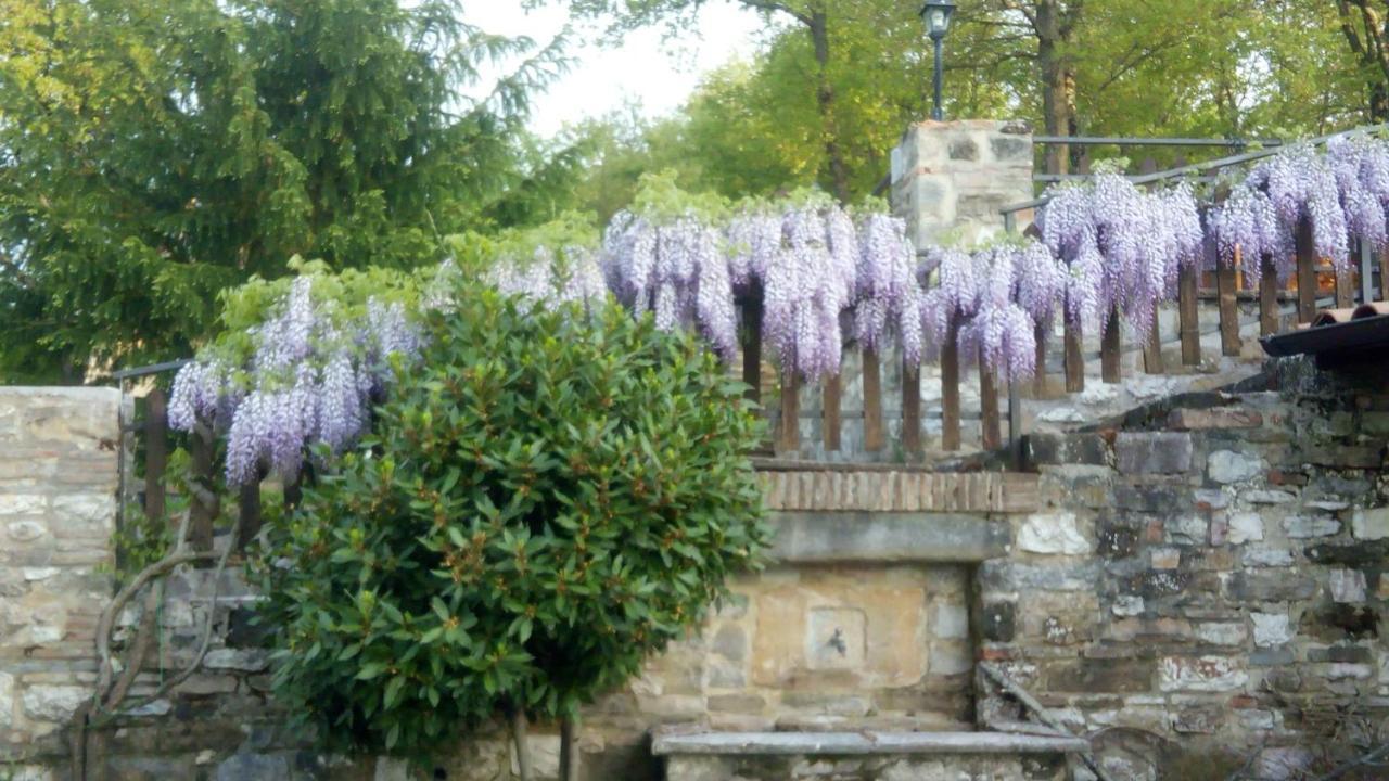Agriturismo Countryhouse Le Giare 古比奥 外观 照片