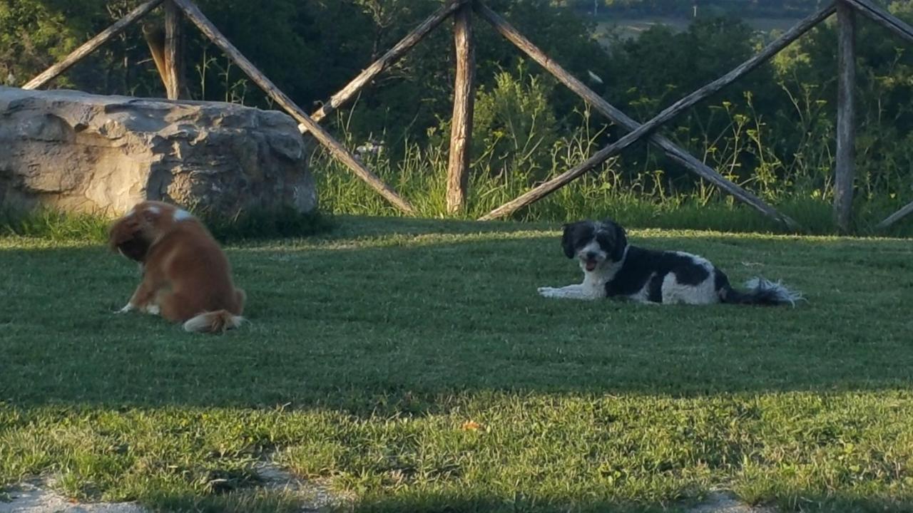 Agriturismo Countryhouse Le Giare 古比奥 外观 照片